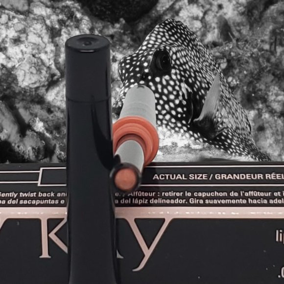 Coral Lip Liner - Mary Kay - Recently Discontinued - Picture 5 of 6